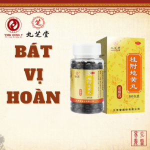 Bát vị hoàn (Quế phụ địa hoàng hoàn) Cửu Chi Đường - Hộp 360 viên