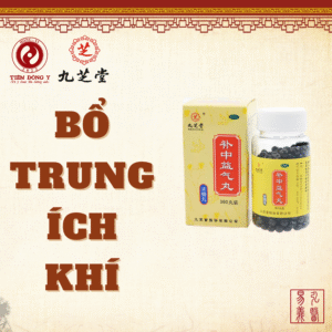 Bổ trung ích khí hoàn Cửu Chi Đường hỗ trợ kiện tỳ - Hộp 360 viên