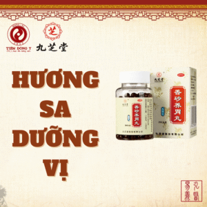 Hương sa dưỡng vị hoàn Cửu Chi Đường - Hộp 200 viên