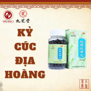 Kỷ cúc địa hoàng hoàn Cửu Chi Đường - Hộp 360 viên