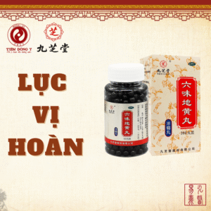 Lục vị hoàn (Lục vị địa hoàng hoàn) Cửu Chi Đường - Hộp 360 viên