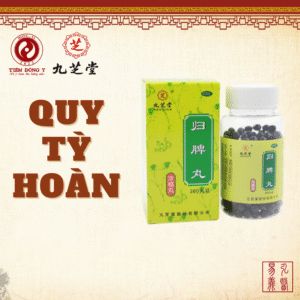 Quy tỳ hoàn Cửu Chi Đường hỗ trợ bổ khí huyết - Hộp 360 viên