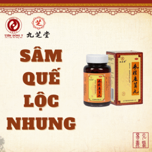 Sâm quế lộc nhung hoàn Cửu Chi Đường hỗ trợ bổ khí huyết - Hộp 110g