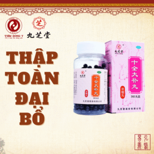 Thập toàn đại bổ hoàn Cửu Chi Đường bổ khí huyết - Hộp 360 viên