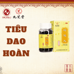 Tiêu dao hoàn Cửu Chi Đường kiện tỳ dưỡng huyết - Hộp 360 viên