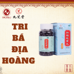 Tri bá địa hoàng hoàn Cửu Chi Đường - Hộp 360 viên