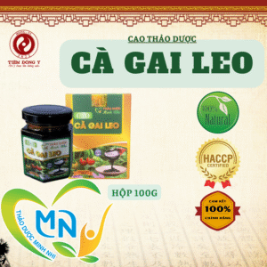 Cao cà gai leo thảo dược Minh Nhi - Hộp 100g