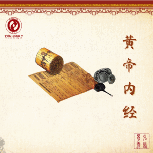 Hoàng Đế Nội Kinh - Sách Đông Y