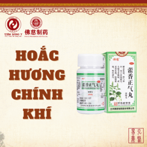 Hoắc hương chính khí hoàn Lan Châu Foci - Hộp 200 viên