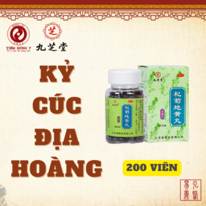 Kỷ cúc địa hoàng hoàn Cửu Chi Đường – Hộp 200 viên