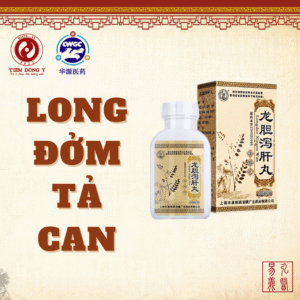 Long đởm tả can hoàn Nhân Tế Đường - Hộp 200 viên