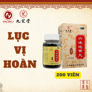 Lục vị hoàn (Lục vị địa hoàng hoàn) Cửu Chi Đường – Hộp 200 viên