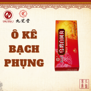 Ô kê bạch phụng hoàn Cửu Chi Đường - Hộp 10 viên x 6g