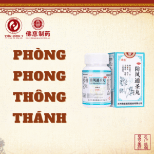 Phòng phong thông thánh hoàn Lan Châu Foci - Hộp 200 viên