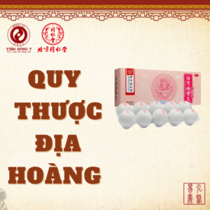 Quy thược địa hoàng hoàn Đồng Nhân Đường bổ can thận - Hộp 10 viên x 9g
