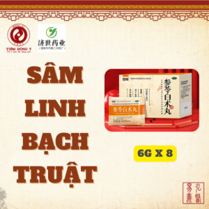 Sâm linh bạch truật hoàn Ân Uy - Hộp 6g x 8 gói