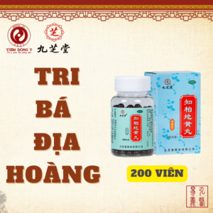 Tri bá địa hoàng hoàn Cửu Chi Đường – Hộp 200 viên