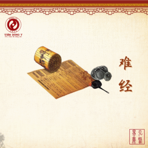 Nạn Kinh (Hoàng Đế 81 Nạn Kinh) - Sách Đông Y