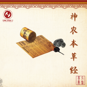 Thần Nông Bản Thảo Kinh - Sách Đông Y