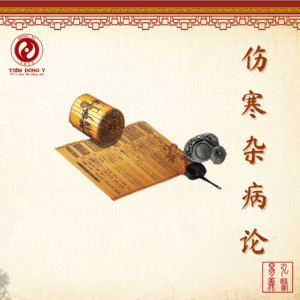 Thương Hàn Tạp Bệnh Luận - Sách Đông Y
