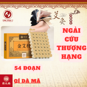 Ngải cứu thượng hạng QI DA MA - Hộp 54 đoạn